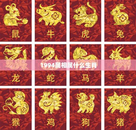 94年狗|1994年出生属什么生肖 1994年属狗是什么命